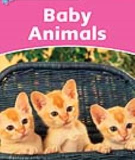 Baby Animals