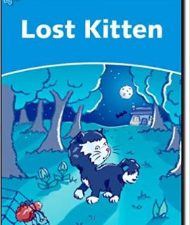 Lost Kitten